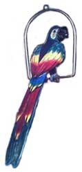 Parrot